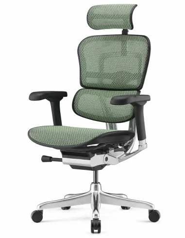 Кресло ERGOHUMAN ELITE 2 (EHE2-AB-HAM-5D-L, сетка T-168-B6 Green), эргономичное - купить Киев, Днепр, Одесса, Львов, Харьков