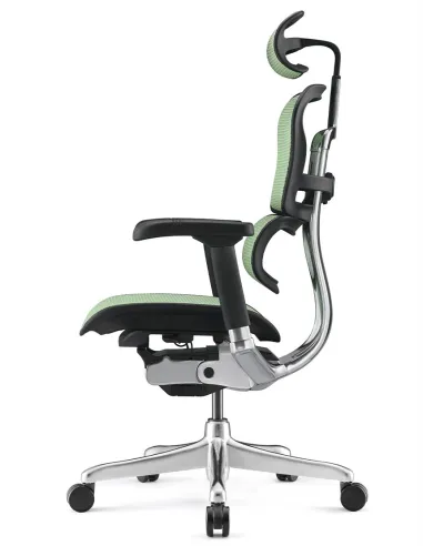 Кресло ERGOHUMAN ELITE 2 (EHE2-AB-HAM-5D-L, сетка T-168-B6 Green), эргономичное - купить Киев, Днепр, Одесса, Львов, Харьков