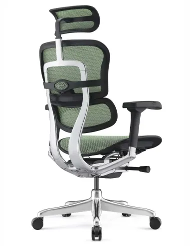 Кресло ERGOHUMAN ELITE 2 (EHE2-AB-HAM-5D-L, сетка T-168-B6 Green), эргономичное - купить Киев, Днепр, Одесса, Львов, Харьков