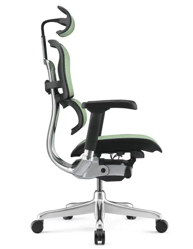 Кресло ERGOHUMAN ELITE 2 (EHE2-AB-HAM-5D-L, сетка T-168-B6 Green), эргономичное - купить Киев, Днепр, Одесса, Львов, Харьков