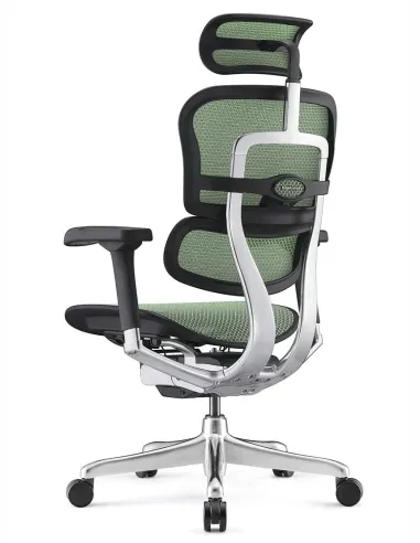 Кресло ERGOHUMAN ELITE 2 (EHE2-AB-HAM-5D-L, сетка T-168-B6 Green), эргономичное - купить Киев, Днепр, Одесса, Львов, Харьков