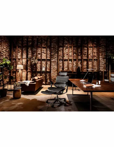 Кресло ERGOHUMAN ELITE 2 (EHE2-AB-HAM-5D-L-LM, сетка T-168-B1 BLACK), эргономичное, с подставкой под ноги - цена Киев, Днепр, О