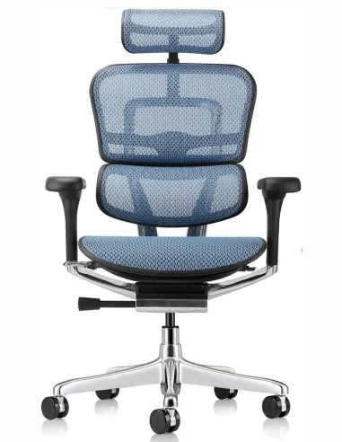 Кресло ERGOHUMAN ELITE 2 (EHE2-AB-HAM-5D-L, сетка T-168-B4 Cobalt), эргономичное - купить Киев, Днепр, Одесса, Львов, Харьков
