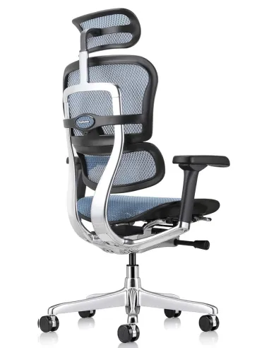 Кресло ERGOHUMAN ELITE 2 (EHE2-AB-HAM-5D-L, сетка T-168-B4 Cobalt), эргономичное - купить Киев, Днепр, Одесса, Львов, Харьков