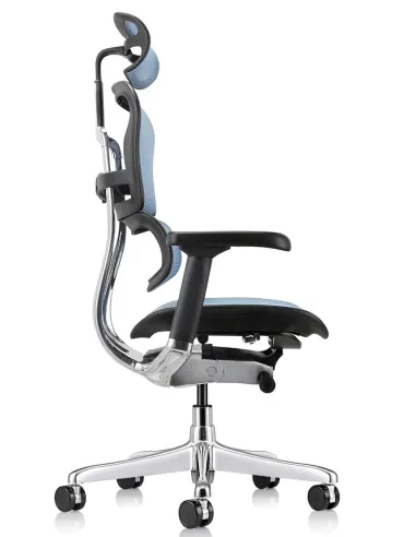 Кресло ERGOHUMAN ELITE 2 (EHE2-AB-HAM-5D-L, сетка T-168-B4 Cobalt), эргономичное - купить Киев, Днепр, Одесса, Львов, Харьков