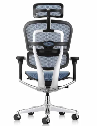 Кресло ERGOHUMAN ELITE 2 (EHE2-AB-HAM-5D-L, сетка T-168-B4 Cobalt), эргономичное - купить Киев, Днепр, Одесса, Львов, Харьков