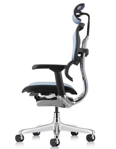Кресло ERGOHUMAN ELITE 2 (EHE2-AB-HAM-5D-L, сетка T-168-B4 Cobalt), эргономичное - купить Киев, Днепр, Одесса, Львов, Харьков