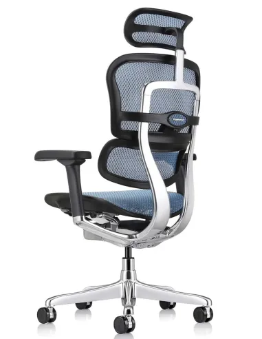 Кресло ERGOHUMAN ELITE 2 (EHE2-AB-HAM-5D-L, сетка T-168-B4 Cobalt), эргономичное - купить Киев, Днепр, Одесса, Львов, Харьков