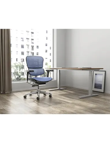 Кресло ERGOHUMAN ELITE 2 (EHE2-AB-HAM-5D-L, сетка T-168-B4 Cobalt), эргономичное - купить Киев, Днепр, Одесса, Львов, Харьков