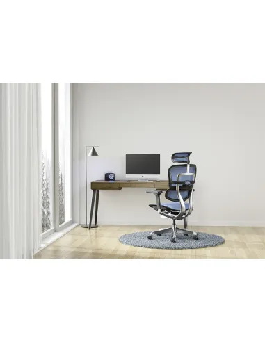 Кресло ERGOHUMAN ELITE 2 (EHE2-AB-HAM-5D-L, сетка T-168-B4 Cobalt), эргономичное - купить Киев, Днепр, Одесса, Львов, Харьков