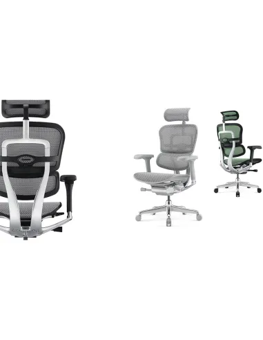 Кресло ERGOHUMAN ELITE 2 (EHE2-AB-HAM-5D-L, сетка T-168-B1 Black), эргономичное - купить Киев, Днепр, Одесса, Львов, Харьков