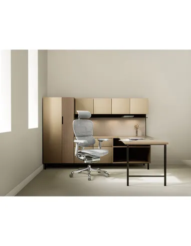 Крісло ERGOHUMAN ELITE 2 (EHE2-AG-HAM-5D-L, сітка T-168-B2 Natural), ергономічне - ціна, Київ, Дніпро, Харків, Одеса, Львів