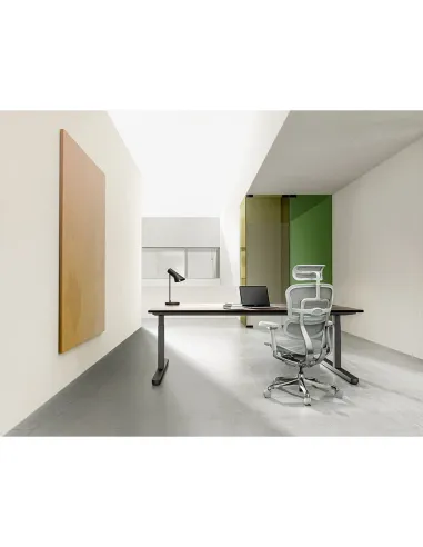 Кресло ERGOHUMAN ELITE 2 (EHE2-AG-HAM-5D-L, сетка T-168-B2 Natural), эргономичное -  цена, Киев, Днепр, Харьков, Одесса, Львов