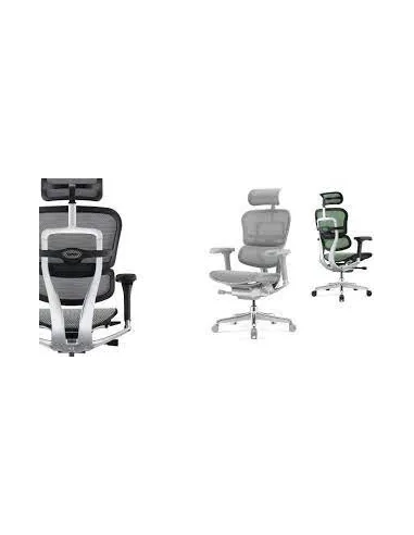 Крісло ERGOHUMAN ELITE 2 (EHE2-AG-HAM-5D-L, сітка T-168-B2 Natural), ергономічне - ціна, Київ, Дніпро, Харків, Одеса, Львів