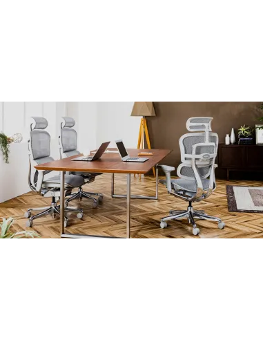 Крісло ERGOHUMAN ELITE 2 (EHE2-AG-HAM-5D-L, сітка T-168-B2 Natural), ергономічне - ціна, Київ, Дніпро, Харків, Одеса, Львів