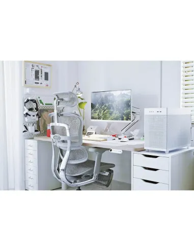 Крісло ERGOHUMAN ELITE 2 (EHE2-AG-HAM-5D-L, сітка T-168-B2 Natural), ергономічне - ціна, Київ, Дніпро, Харків, Одеса, Львів