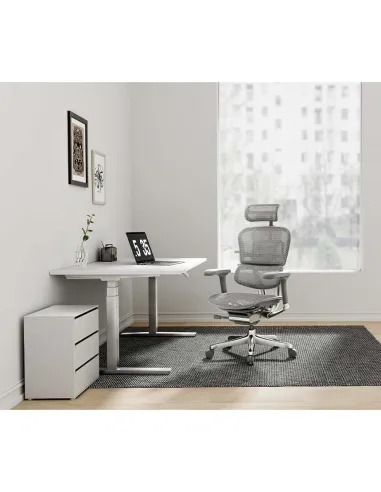 Крісло ERGOHUMAN ELITE 2 (EHE2-AG-HAM-5D-L, сітка T-168-B2 Natural), ергономічне - ціна, Київ, Дніпро, Харків, Одеса, Львів