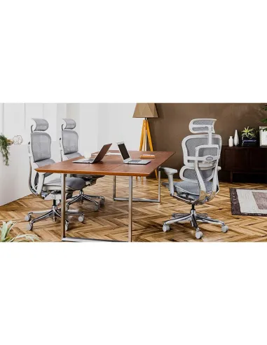 Кресло ERGOHUMAN ELITE 2 (EHE2-AG-HAM-5D-L, сетка T-168-B2 Natural), эргономичное -  цена, Киев, Днепр, Харьков, Одесса, Львов