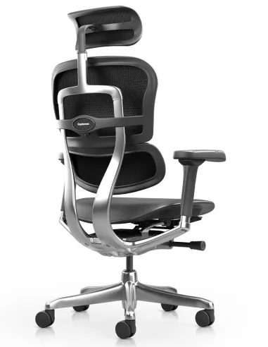 Крісло ERGOHUMAN ELITE 2, BLACK LEATHER, ергономічне - купити Київ, Дніпро, Одеса, Львів, Харків