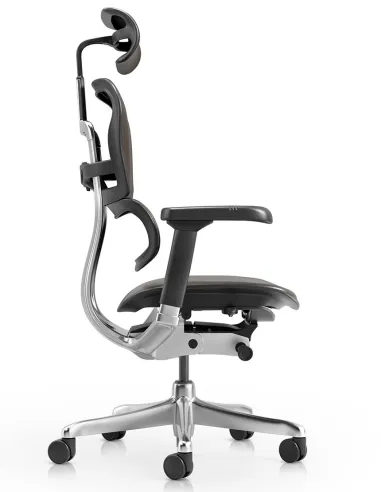 Кресло ERGOHUMAN ELITE 2, BROWN LEATHER, эргономичное - купить Киев, Днепр, Одесса, Львов, Харьков