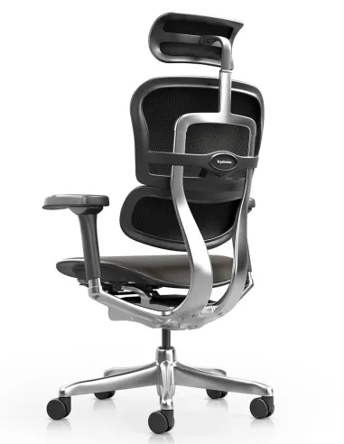 Кресло ERGOHUMAN ELITE 2, BROWN LEATHER, эргономичное - купить Киев, Днепр, Одесса, Львов, Харьков