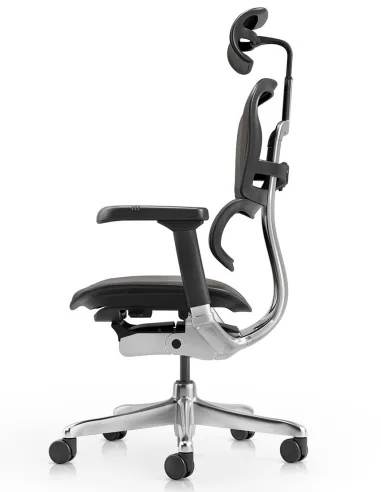 Кресло ERGOHUMAN ELITE 2, BROWN LEATHER, эргономичное - купить Киев, Днепр, Одесса, Львов, Харьков