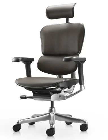 Кресло ERGOHUMAN ELITE 2, BROWN LEATHER, эргономичное - купить Киев, Днепр, Одесса, Львов, Харьков