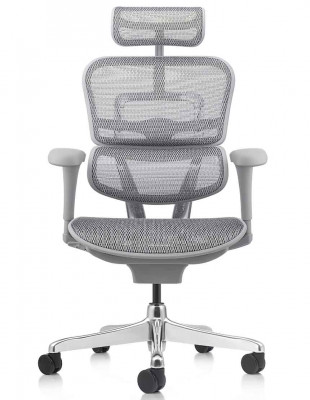 Кресло ERGOHUMAN PROJECT 2... 2