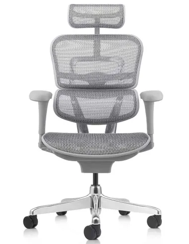 Кресло ERGOHUMAN PROJECT 2 GREY, эргономичное - купить Киев, Львов, Харьков, Днепр, Одесса