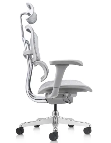 Кресло ERGOHUMAN PROJECT 2 GREY, эргономичное - купить Киев, Львов, Харьков, Днепр, Одесса