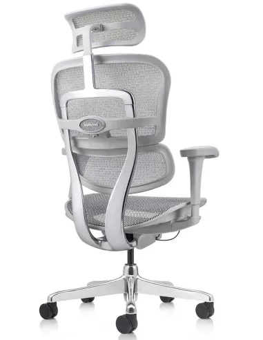 Кресло ERGOHUMAN PROJECT 2 GREY, эргономичное - купить Киев, Львов, Харьков, Днепр, Одесса