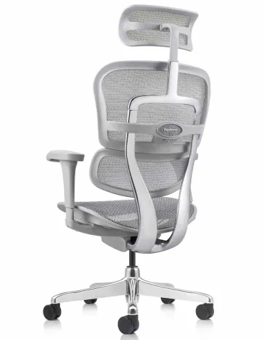 Кресло ERGOHUMAN PROJECT 2 GREY, эргономичное - купить Киев, Львов, Харьков, Днепр, Одесса