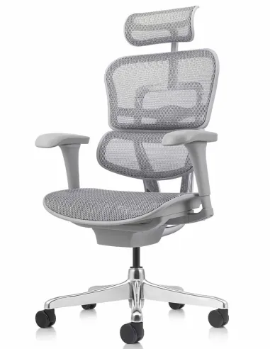 Кресло ERGOHUMAN PROJECT 2 GREY, эргономичное - купить Киев, Львов, Харьков, Днепр, Одесса