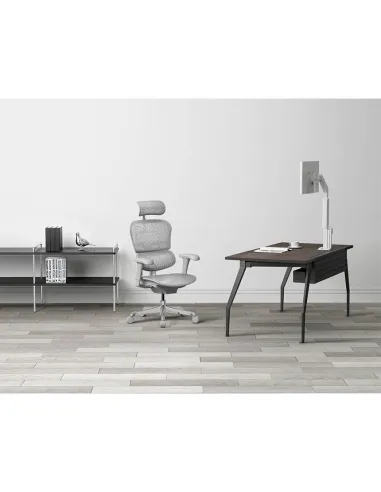 Кресло ERGOHUMAN PROJECT 2 GREY, эргономичное - купить Киев, Львов, Харьков, Днепр, Одесса