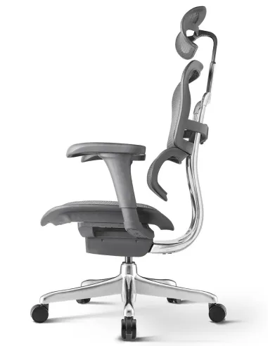 Кресло ERGOHUMAN PROJECT 2 BLACK, эргономичное - купить Киев, Днепр, Одесса, Львов, Харьков