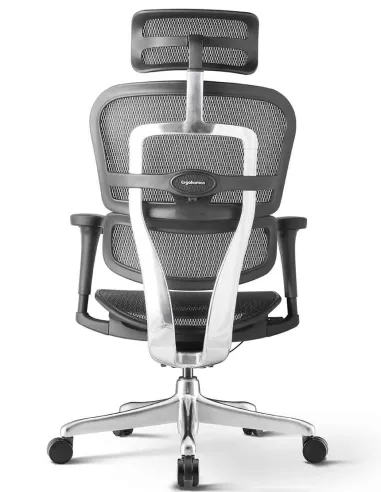 Кресло ERGOHUMAN PROJECT 2 BLACK, эргономичное - купить Киев, Днепр, Одесса, Львов, Харьков