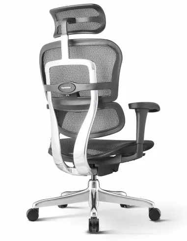 Кресло ERGOHUMAN PROJECT 2 BLACK, эргономичное - купить Киев, Днепр, Одесса, Львов, Харьков