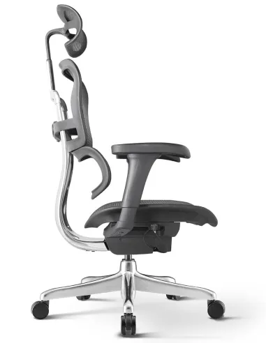Кресло ERGOHUMAN PROJECT 2 BLACK, эргономичное - купить Киев, Днепр, Одесса, Львов, Харьков