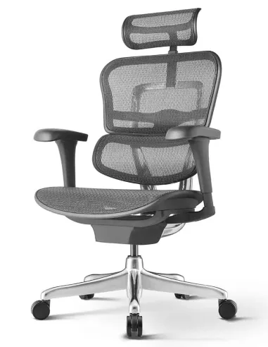 Кресло ERGOHUMAN PROJECT 2 BLACK, эргономичное - купить Киев, Днепр, Одесса, Львов, Харьков