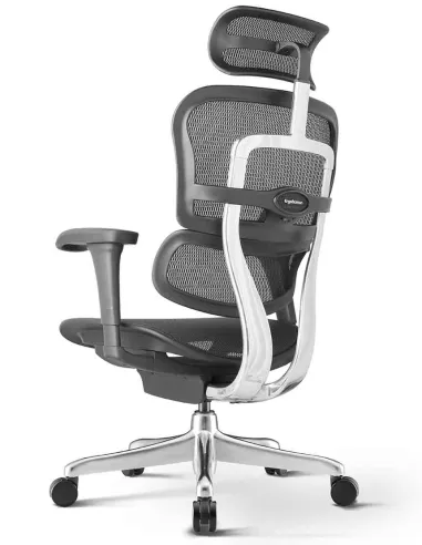 Кресло ERGOHUMAN PROJECT 2 BLACK, эргономичное - купить Киев, Днепр, Одесса, Львов, Харьков