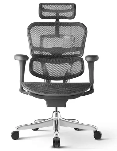 Кресло ERGOHUMAN PROJECT 2 BLACK, эргономичное - купить Киев, Днепр, Одесса, Львов, Харьков