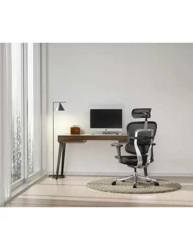 Кресло ERGOHUMAN PROJECT 2 BLACK, эргономичное - купить Киев, Днепр, Одесса, Львов, Харьков