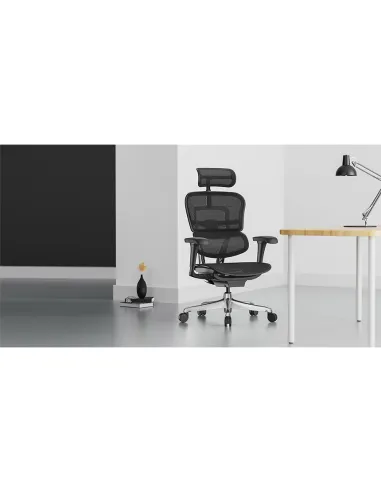 Кресло ERGOHUMAN PROJECT 2 BLACK, эргономичное - купить Киев, Днепр, Одесса, Львов, Харьков