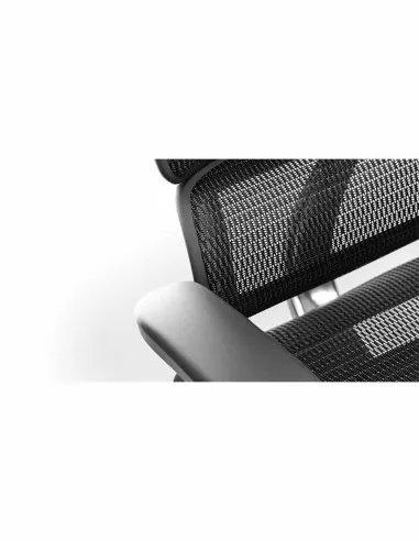 Кресло ERGOHUMAN PROJECT 2 BLACK, эргономичное - купить Киев, Днепр, Одесса, Львов, Харьков