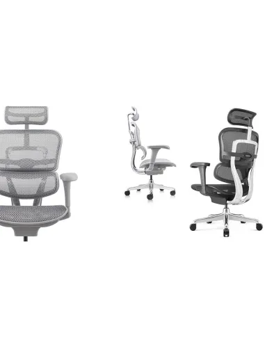 Кресло ERGOHUMAN PROJECT 2 GREY, эргономичное - купить Киев, Львов, Харьков, Днепр, Одесса