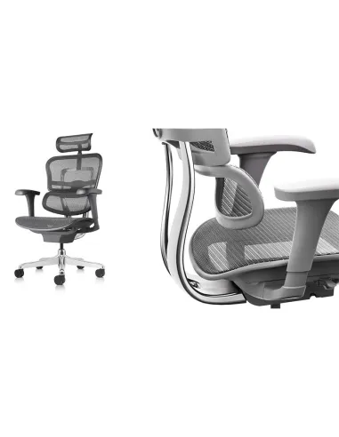 Кресло ERGOHUMAN PROJECT 2 GREY, эргономичное - купить Киев, Львов, Харьков, Днепр, Одесса