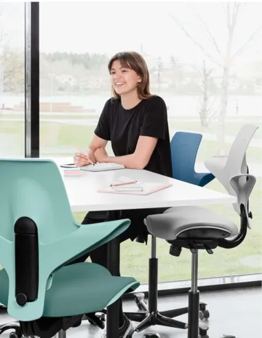 Кресло HAG CAPISCO PULS 8020 Rosehip Black, эргономичное - купить Киев, Днепр, Одесса, Львов, Харьков