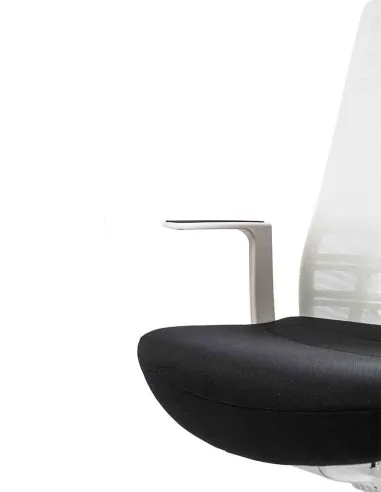 Кресло INTERSTUHL PURE PU213 WHITE - купить Киев, Днепр, Одесса, Львов, Харьков