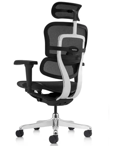 Кресло ERGOHUMAN ULTRA (EHU-AB-HAM-4D, сетка T-168-B1 BLACK), эргономичное - купить Киев, Днепр, Одесса, Львов, Харьков