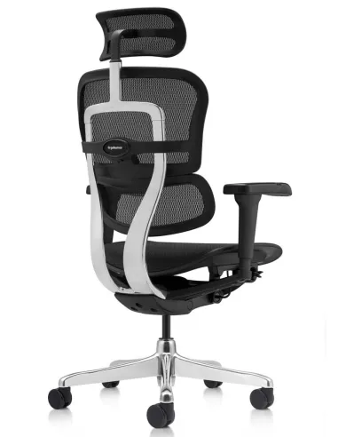 Кресло ERGOHUMAN ULTRA (EHU-AB-HAM-4D, сетка T-168-B1 BLACK), эргономичное - купить Киев, Днепр, Одесса, Львов, Харьков